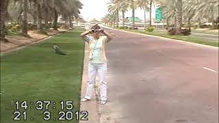 Дубаи - экзотическое место