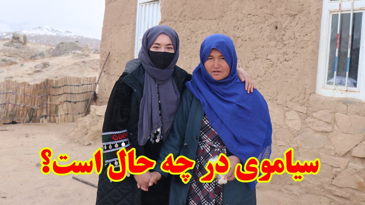 احوال سیاموی را گرفتیم