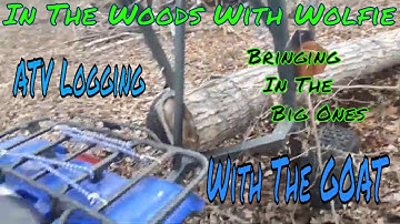 More Log Hauling With The Goat Log Arch Trailer