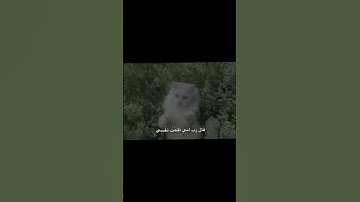 قَالَ رَبِّ إِنِّي ظَلَمْتُ نَفْسِي فَاغْفِرْ لِي | محمد صديق المنشاوي | سورة القصص