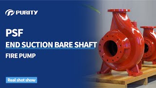PURITY PSF End Suction Bare Sharft Centrifugal Pump #centrifugalpump #firepump #firesystem