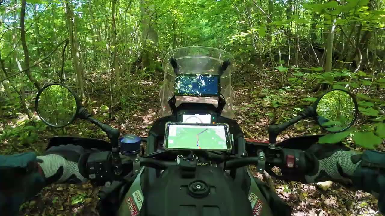 TET Frankreich 2024 Sektion 13 14 16 0149 D