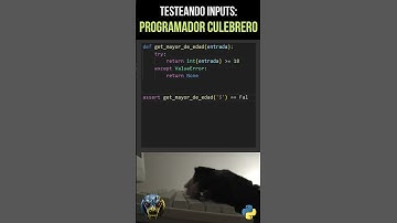Verificar mayor de edad en Python: Método incorrecto vs Solución Pro con manejo de errores