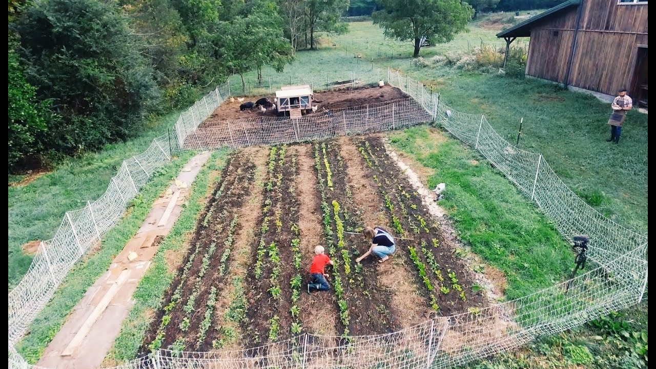 How We Built A 10 Acre Homestead In A Year From Scratch Youtube