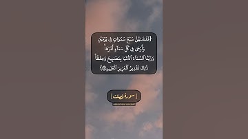 سورة فصلت الآية ١٢ و ١٣ بصوت الشيخ محمد صديق المنشاوي