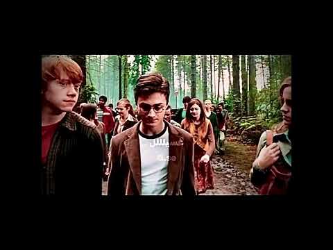 اوركا لي غسيل واقطع كوازي لي غسيل واقطع آل غسيل غسرون اطلق بستيز جيني لتولين وبس اكسبلور فولو