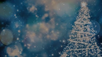 Christmas Tree Winter Motion Video Loop Bokeh