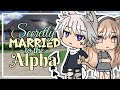 Secretly Married to the Alpha / Gacha Life / GLMM / Love Story / Original