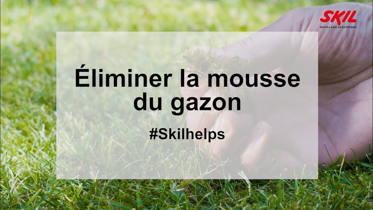 Éliminer la mousse du gazon YouTube — free download