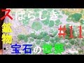 綺麗だったので購入した正体不明の石　これって何か知っていますか？　スばらしき鉱物・宝石の世界11　The Wonderful Mineral and Gems World11