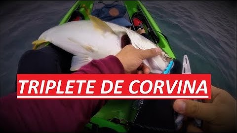 KF VIENTO NORTE-“TRIPLETE DE CORVINA”, EMPEZAMOS CON TODO EL 2020