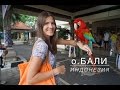 ВЛОГ♥КРУИЗ#2: остров Бали, водопады, рисовые террасы и много обезьян