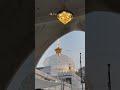 huzoor 🫀 #shortvideo #love #subscribe #like #youtubeshorts #india #viralvideo