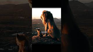 The new king  ll lionking  lion  film  kraxxxz fypシ  simba  mufasagroup  edits