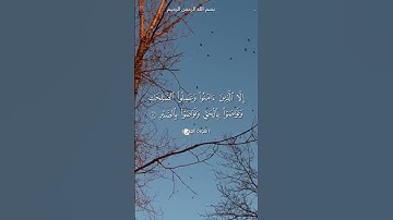 سورة العصر الشيخ محمد الفقيه