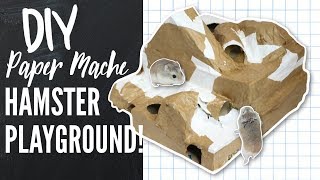 DIY Paper Mache hamster Hide/Playground!