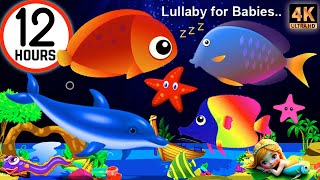 Sleep Instantly Within 3 Minutes ♥ Mozart Brahms Lullaby ♫ Lullaby for Babies to Go to Sleep#238 screenshot 4