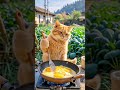 The cat master had rice with gravy today. What about you?#shorts
