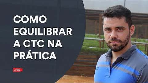 O que deve conter na CTC?