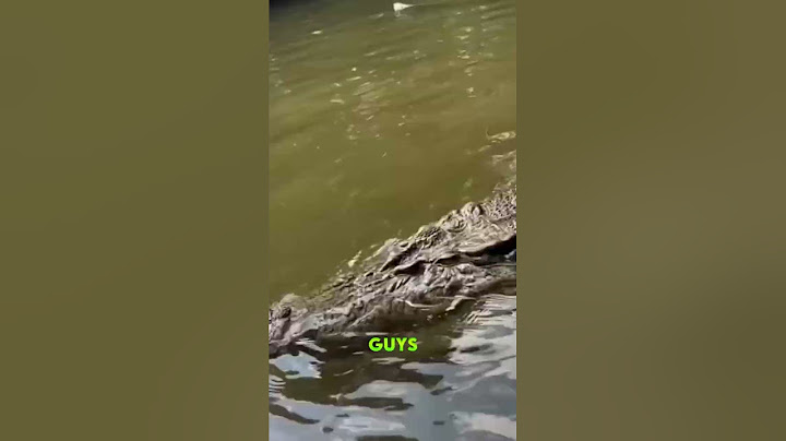 These boys are crazy