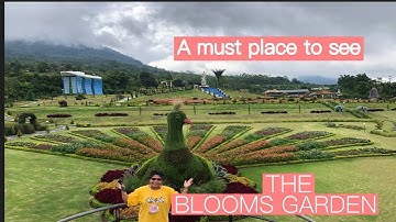 THE BLOOMS GARDEN BEDUGUL BALI | Cantiknya The Blooms Garden Bali #bali #wisatabali #
