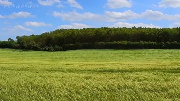 سورة الأعراف للشيخ عبد الرشيد صوفي