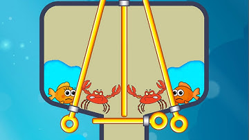 Save The Fish Lover - All New Levels Gameplay, Rescue Puzzle Games ( Levels 1 - 13 )