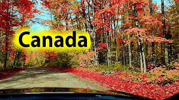 Breathtaking AUTUMN Scenery | Cozy Fall COLORS | Relaxing NATURE