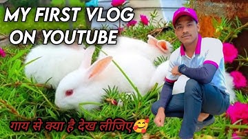 my first vlog ||My First Vlog||#myfirstvlog #myfirstvlog2022 @ActiveRahul