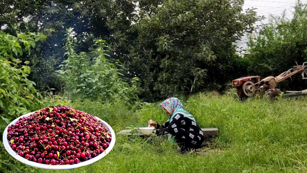 Red Sour Cherry Jam, Syrup, And Pickle | Village Life of Iran