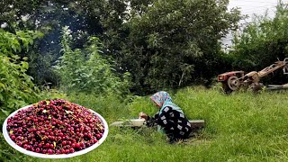 Red Sour Cherry Jam, Syrup, And Pickle Village Life Of Iran