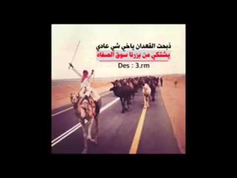 شيلة ذبحت القعدان ياخي شي عادي