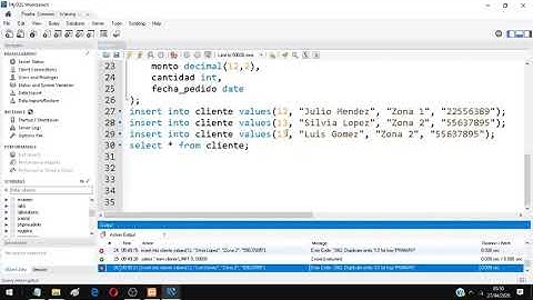 Ejemplo 1 Insertar y mostrar registros a las tablas con SQL parte2