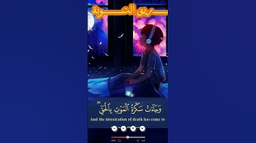 قرآن بصوت هادئ #المصحف  #القرآن_الكريم #تلاوة_خاشعة #اكسبلور #دويتو #لايك