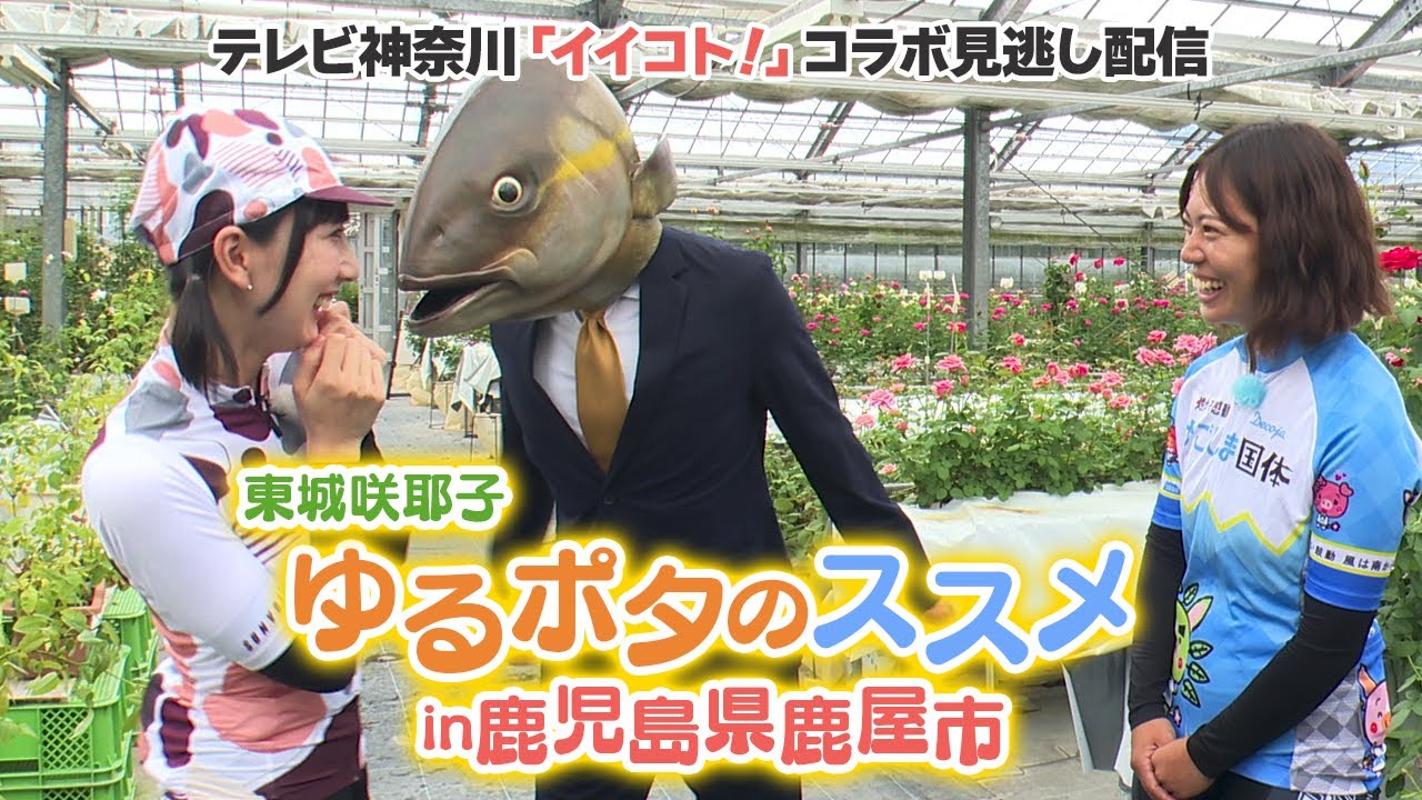ゆるポタのススメin鹿児島　鹿屋市見逃し配信