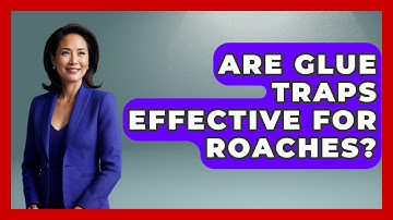 Are Glue Traps Effective For Roaches? - Insects and Invaders