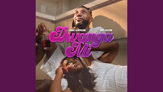 Dwanga Mi Feat. Miss Aaliyah
