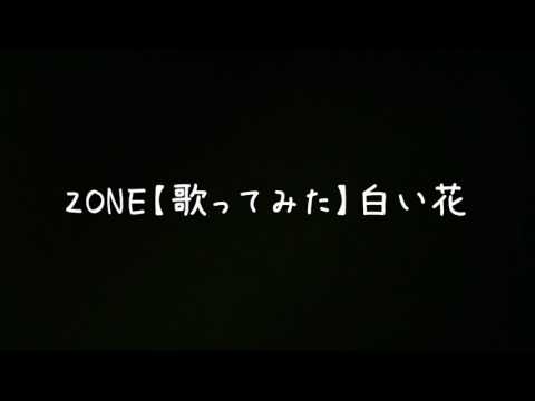 Zone 歌ってみた 白い花 Youtube