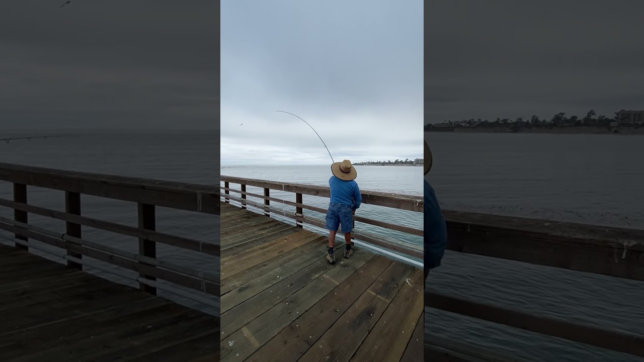 okuma 15 foot surf rod Fishbites Signature Series Rods Lowrance X-15 Computer Sonar Fly Rod Brand_Orvis slip cork wrapped handles Style:AHC4070MSG2-2