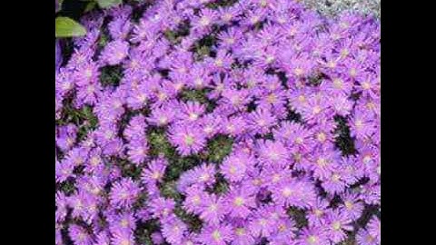 Chào mừng bạn đến đến với kênh YouTube của tôi