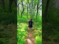 武将の林道歩き