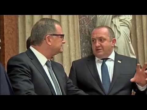 პრეზიდენტი ავსტრიის ეროვნული საბჭოს მეორე პრეზიდენტს შეხვდა