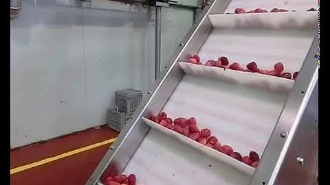 Frozen strawberries sorted by Raynbow optical sorter | RAYTEC VISION SpA