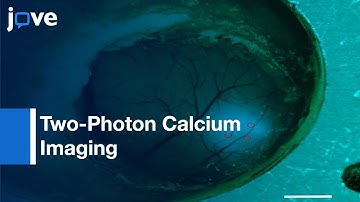 Two-Photon Calcium Imaging In Mice Navigating Virtual Reality Environment l Protocol Preview