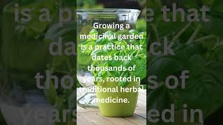 Unlock the Healing Power of Nature: Starting Your Medicinal Garden #garden #herbs #medicinal