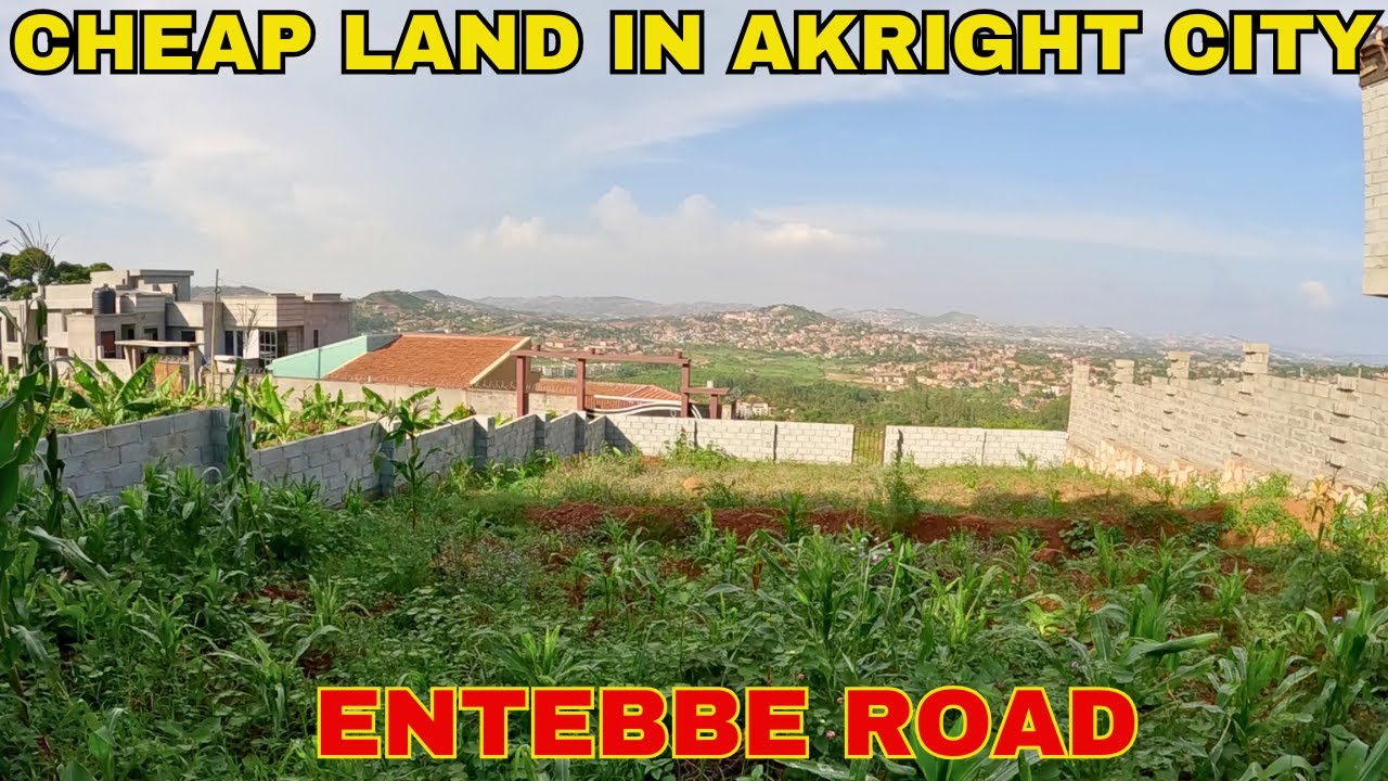 Недорогие земельные участки в городе Акрайт на продажу, рождественское предложение в престижном р...