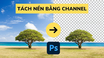 Hướng Dẫn Tách Ảnh Khỏi Nền Phức Tạp Nhanh Với Channel Trong Photoshop