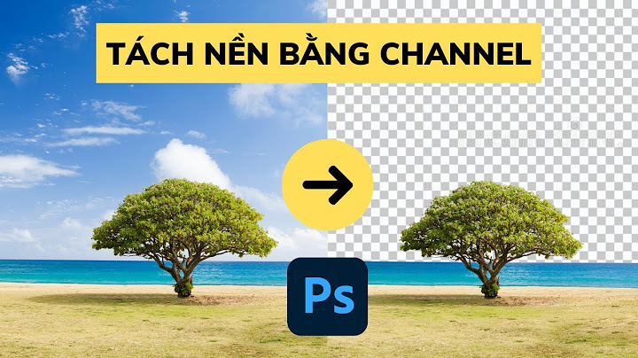 Hướng dẫn tách chủ thể ra khỏi nền trong photoshop