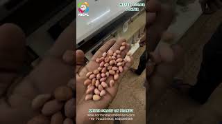 Best Color Sorter for Peanut (Groundnut) || Meyer Running Machine