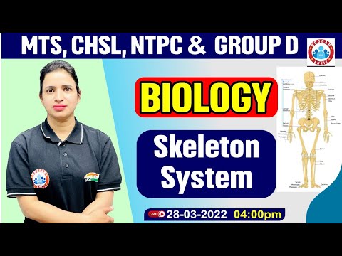 Biology : Skeleton System | Biology For Group D/CHSL/MTS/NTPC, Science By Bhawna Mam | जीव विज्ञान